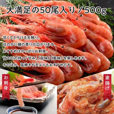 ふるさと納税 若狭町 ねっとり甘い 子無し 日本海甘えび 500g(約50尾)