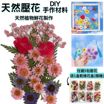 【A-ONE】壓花材料 乾燥花材料 植物 天然乾花DIY 書籤乾燥花 標準包-粉紅佳人 BB04_廠商直送