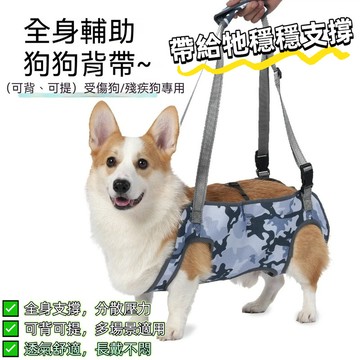 🔥 台灣出貨 🔥寵物輔助帶 狗助行器 寵物輔助 寵物提帶 老犬背帶 寵物康復帶 狗狗輔助帶老年犬受傷狗狗外出牽引輔助