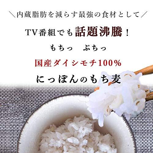 もち麦 国産 ダイシモチ100% 400g 2袋セット もち性もち麦 8分搗き製法 おいしいご縁