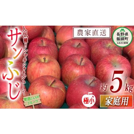 ふるさと納税 りんご サンふじ （極小） 家庭用 5kg 沖縄県への配送不可 2024年1月上旬頃から2024年3月上旬頃まで順次発送予定 町田さんちのりん.. 長野県飯綱町