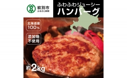 13-182 北海道産100％ハンバーグ約200ｇ×10個 約2000g