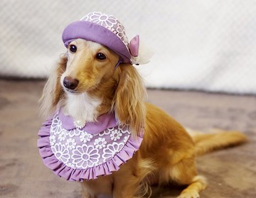 (10%捐公益)維多利亞系列_英式午茶領巾+蕾絲帽(薰衣草紫)