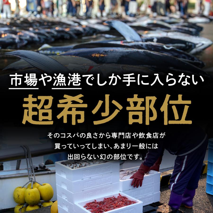 マグロテール 本まぐろテールステーキ 希少部位 冷凍テール1kg (2〜4枚) 純国産天然本鮪 お歳暮 プレゼント ギフト 年末年始 海鮮バーベキュー  送料無料