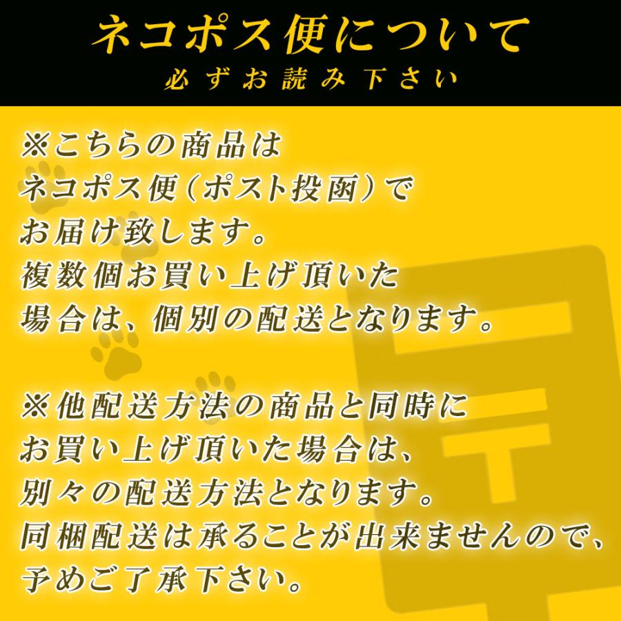 生ハム スペイン産 生ハムジャーキー （ハモンセラーノ・ジャーキー） 国内加工 30g おつまみ