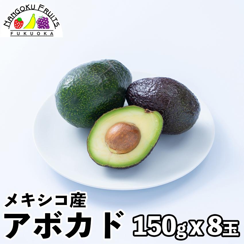 メキシコ産アボカド 8玉(150g x 8玉)