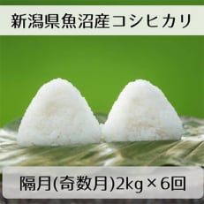 新潟県魚沼産コシヒカリ「山清水米」精米2kg(奇数月発送)全6回