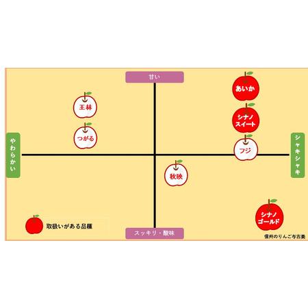 ふるさと納税 さんふじ 約5kg りんご リンゴ 林檎 長野 フルーツ 果物 信州産 長野県産 特産.. 長野県箕輪町