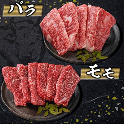 ふるさと納税 都城市 宮崎牛6種盛り焼肉堪能セット600g