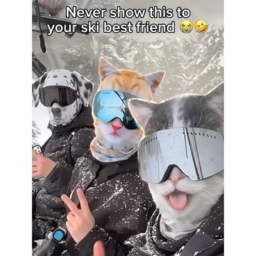 新上架👉Amazing run騎行動物頭套 貓咪狗狗護臉套滑雪保暖面罩搞怪電動車交換禮物 送朋友禮物