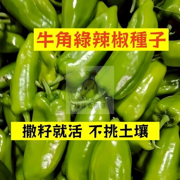 🌱早熟高產 🌶️牛角辣椒種子LJ-46 口感清爽 中辣 抗病性強 生長勢快 不挑土壤 易種植田栽庭院盆栽蔬菜種子