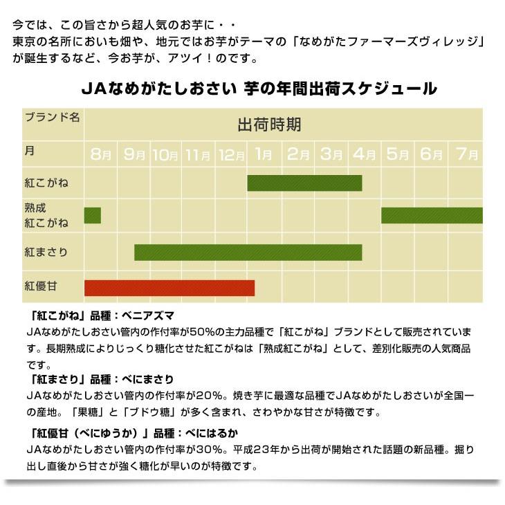 茨城県より産地直送 JAなめがたしおさい さつまいも「紅優甘 (べにゆうか)」 Mサイズ 5キロ(18本前後) 送料無料 さつま芋 サツマイモ 薩摩芋