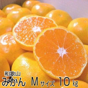 濃厚な味のとろける美味しさ！温州みかん Mサイズ10kg（約100個）和歌山産