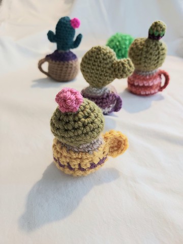 maruna's 仙人掌杯杯