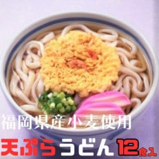 フジギク天ぷらうどん　242g(12食入り)