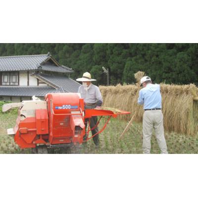 ふるさと納税 菊池市 菊池掛け干し清流米　白米　5kg