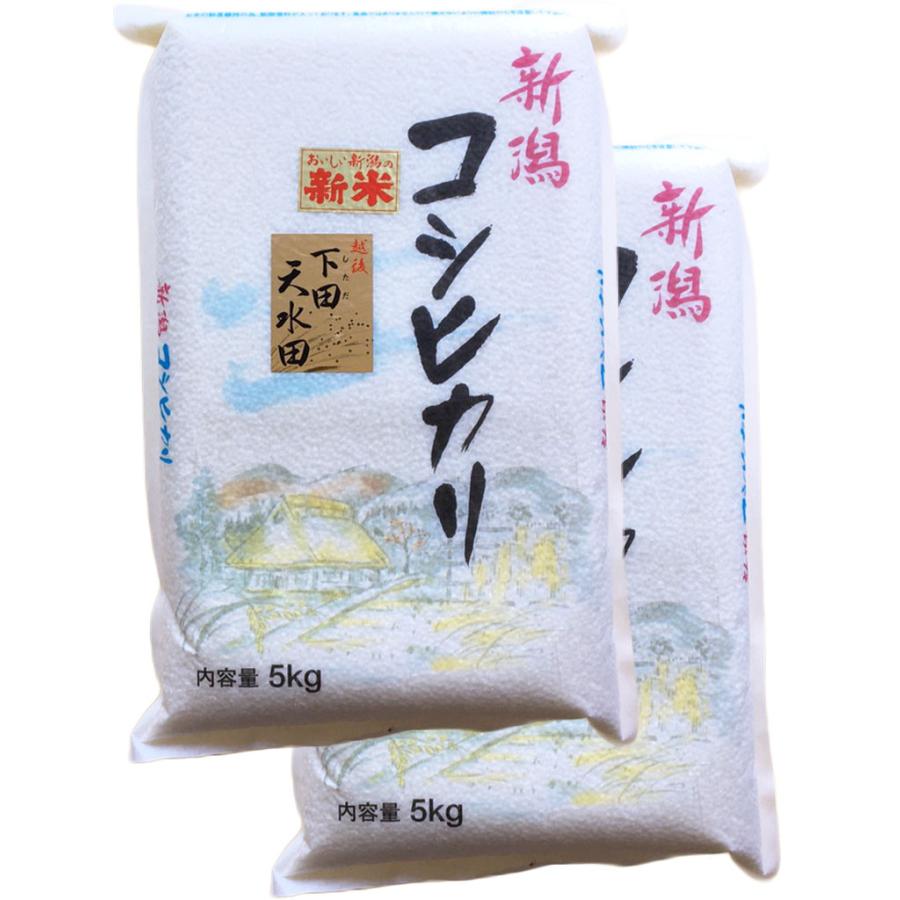 新米 新潟県産 越後下田郷コシヒカリ［天水田米］白米 10kg（5kg×2個）令和5年産 お米