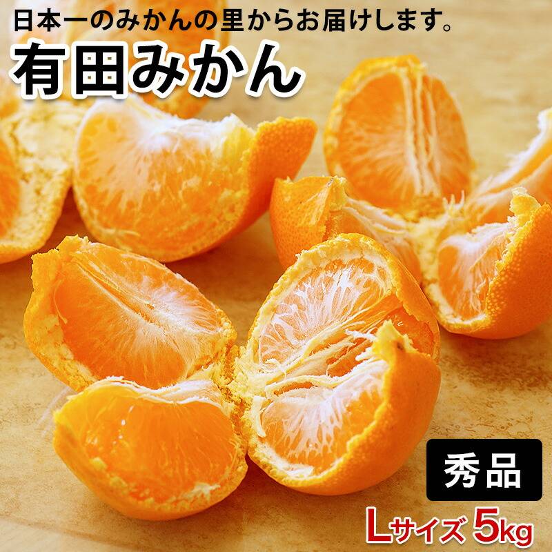 低農薬、自然のマルチ栽培で作る美味しい有田みかん Ｌサイズ 5kg 送料無料（北海道、沖縄を除く） 甘くて美味しい見事な秀品のみ。お歳暮にもお喜び頂けるギフトです