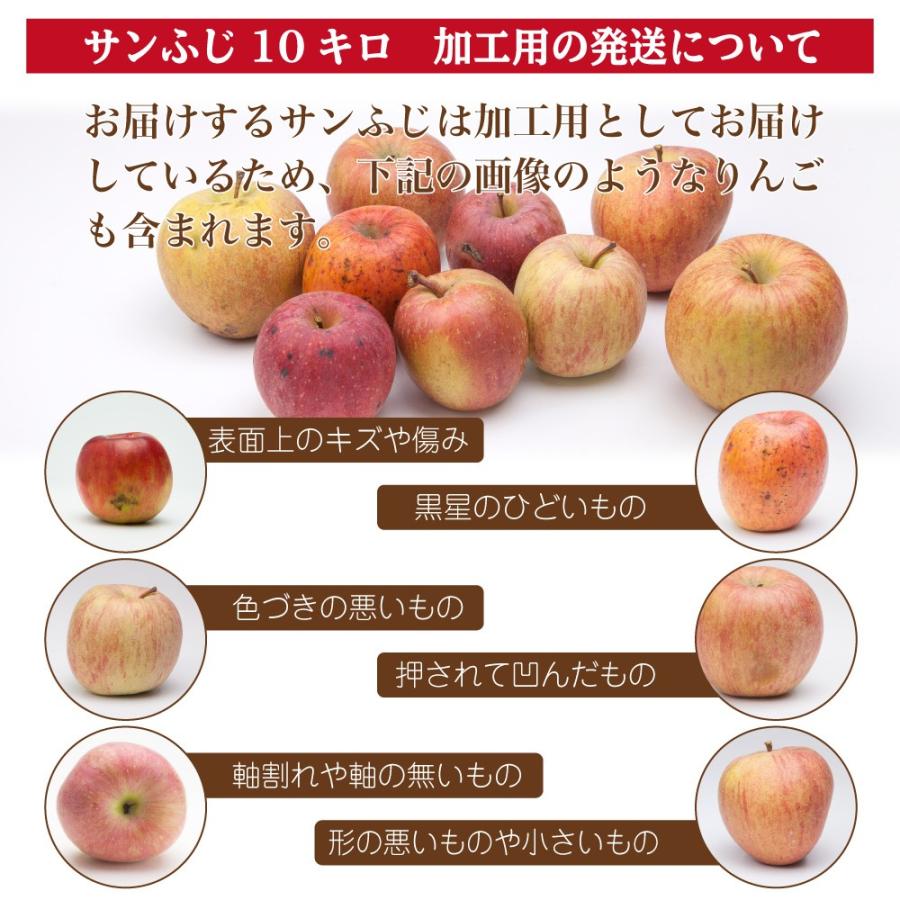 りんご 加工用 １０キロ サンふじ 山形県産 ジュース用 訳あり 産地直送 林檎 リンゴ 10kg