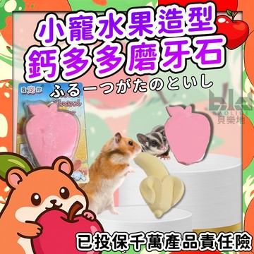 【現貨!倉鼠鈣多多磨牙石】倉鼠磨牙 水果造型磨牙石 倉鼠磨牙石 兔子蜜袋鼯磨牙 小寵補礦物質 小寵磨牙石 小動物磨牙石