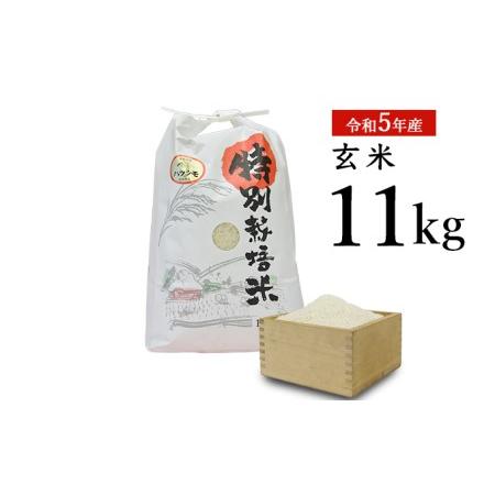 ふるさと納税  安八町産 ハツシモ (ぎふクリーン米)11kg 令和5年産 岐阜県安八町