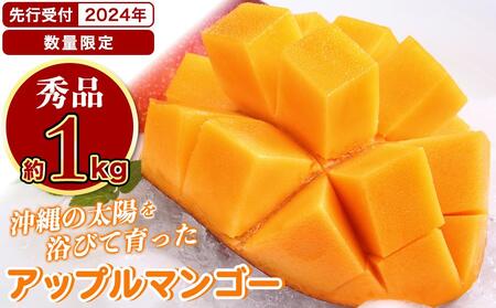 アップルマンゴー 秀品 南城市 約1kg (2～3玉)