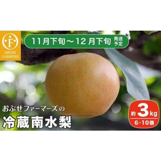 ふるさと納税 長野県 小布施町 冷蔵南水梨 約3kg 6〜10個 [おぶせファーマーズ] 梨 なし 果物 くだもの フルーツ 果物 クール便 冷蔵便 長野 信州 先行予約 数…