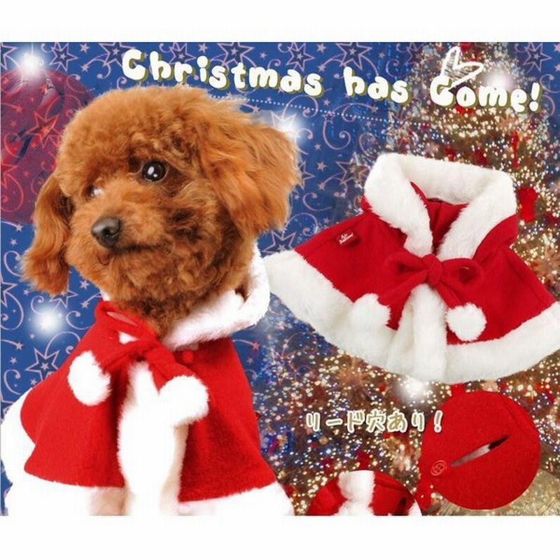 ペット用コスチューム ポンチョ ケープ 犬用 猫用 サンタクロース コスプレ クリスマス ペットウェア ドッグウェア フード付き ポンポン リード穴 通販 Lineポイント最大0 5 Get Lineショッピング