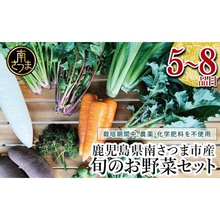 ふるさと納税 福元農園 旬のお野菜 おまかせセット 1箱（5〜8品目） 鹿児島県南さつま市