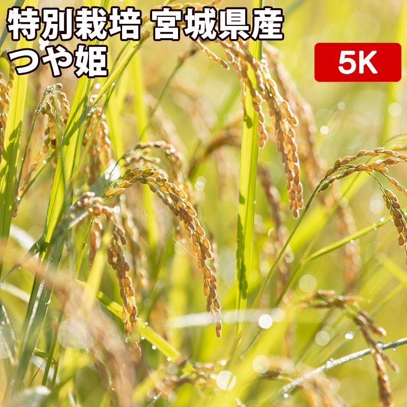 玄米 5kg 真空パック（5kg×袋）減農薬 特別栽培米 宮城県産 つや姫 令和4年産 精米無料 真空パック無料 送料無料 節減対象農薬のデータ公開してます