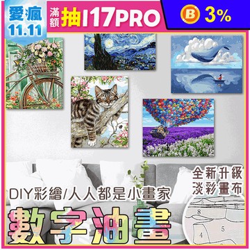 DIY手繪數字油畫 彩繪 壁畫 掛畫  多款可選