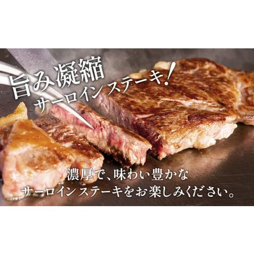 ふるさと納税 大分県 津久見市 おおいた和牛 サーロインステーキ 約180g×4枚(合計720g) 和牛 豊後牛 国産牛 赤身肉 焼き肉 焼肉 ステーキ肉 大分県産 九州産 …