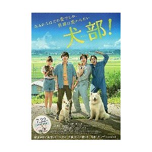 映画チラシ／ 犬部！　（林遣都、中川大志）