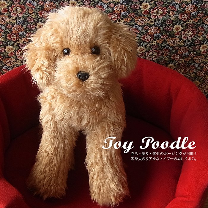 実物大 ポーズが変えられる トイプードル アプリコット レッド ぬいぐるみ 犬 リアル 本物 そっくり 通販 Lineポイント最大0 5 Get Lineショッピング