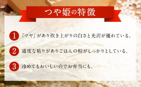 036-806 大分県 豊後大野市産 つや姫 ジオ蔵出し色選米 特別栽培米 10kg (5kg×2袋) 米 精米