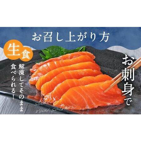 ふるさと納税 生を超えた「とろ生 サーモン」 お刺身用 ブロック 1kg 北海道苫小牧市