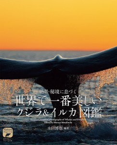 絶景・秘境に息づく世界で一番美しいクジライルカ図鑑 水口博也