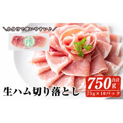 ふるさと納税 曽於市 生ハム切り落とし75g×10P