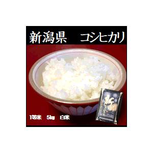 令和5年産　新潟産こしひかり（コシヒカリ）　　5kg