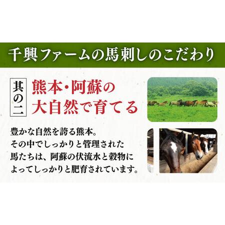 ふるさと納税 馬刺し ギフト用 鮮馬刺しセット 500g 専用タレ付き 馬肉 馬肉の刺身 熊本馬刺し 山都町 熊本産馬刺し 新鮮馬刺し 刺.. 熊本県山都町