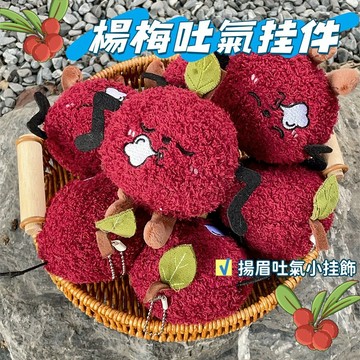 現貨🧸搞怪掛件 楊梅吐氣公仔掛件 揚眉吐氣掛飾 搞笑楊梅吐氣鑰匙扣 創意水果掛件 毛絨公仔掛件 可愛鑰匙扣 送朋友閨蜜