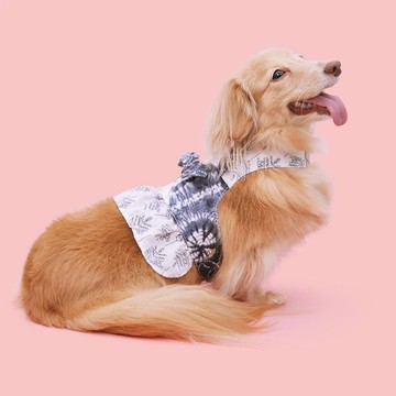 蝶Tie-Dye Among 寵物胸背衣