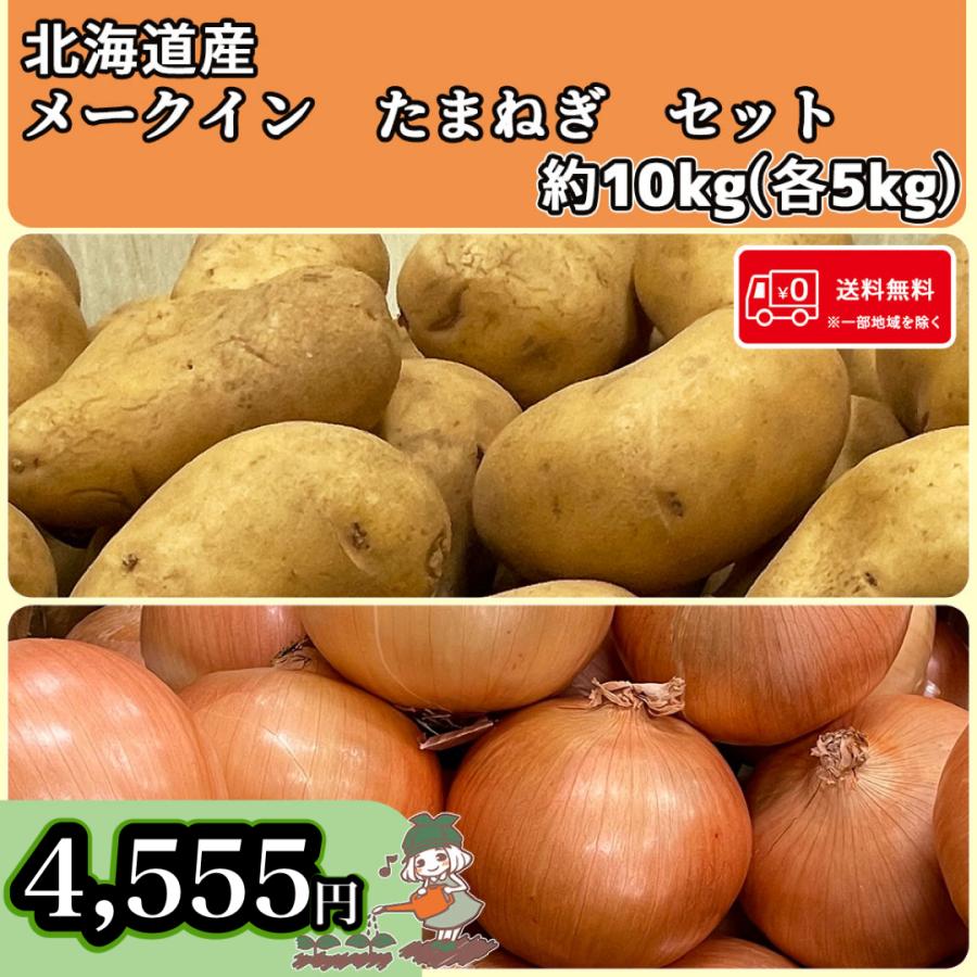 送料無料  常備野菜セット 北海道産 メークイン たまねぎ 10kg(各5kg)  北海道の味覚詰め合わせ