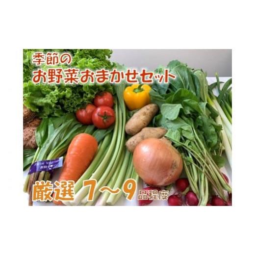 ふるさと納税 岩手県 洋野町 季節のお野菜おまかせセット