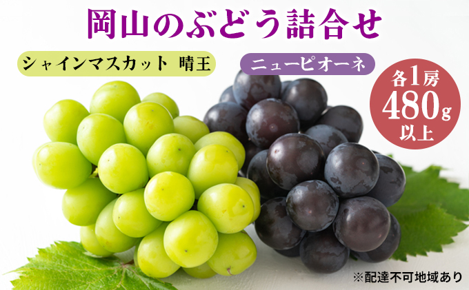 ぶどう 2024年 先行予約 果物 詰合せ ニュー ピオーネ 1房480g以上 シャイン マスカット 晴王 1房 480g以上 化粧箱入り  岡山県産 国産 フルーツ 果物 ギフト