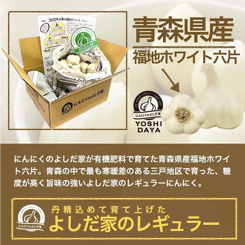 青森県産にんにく レギュラー 最高級品種 青森県産 福地ホワイト六片 国産ニンニク (1KG レギュラー)