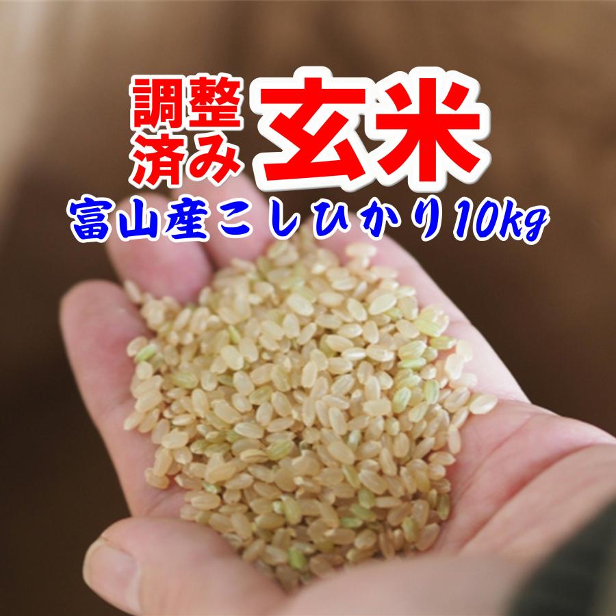 玄米 コシヒカリ 10kg 令和5年産 富山県産 精米・分搗き無料