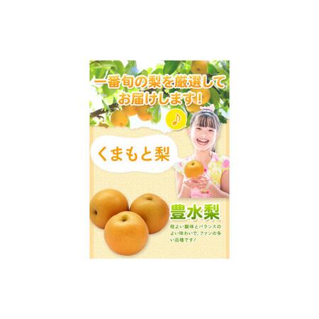 ふるさと納税 くまもと梨 訳あり 熊本県産 約3.6kg 4玉〜15玉前後 期間限定 フルーツ 予約 スイーツ 秋 旬 クール便 《2024年8月末旬-10月中旬頃.. 熊本県山江村