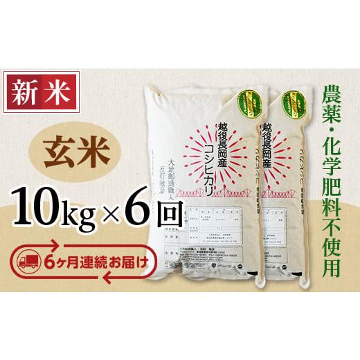 ふるさと納税 新潟県 長岡市 E1-17新潟県長岡産コシヒカリ玄米10kg