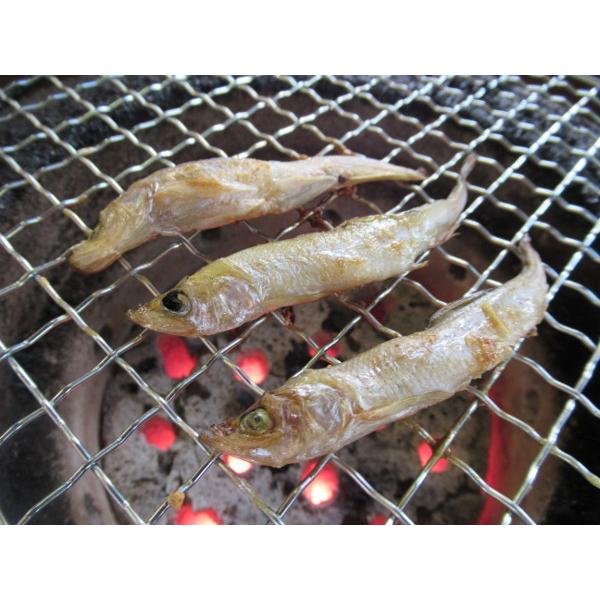 ししゃも 丸干 ぷちぷちとした食感 おつまみ 揚げ物 干物 かご